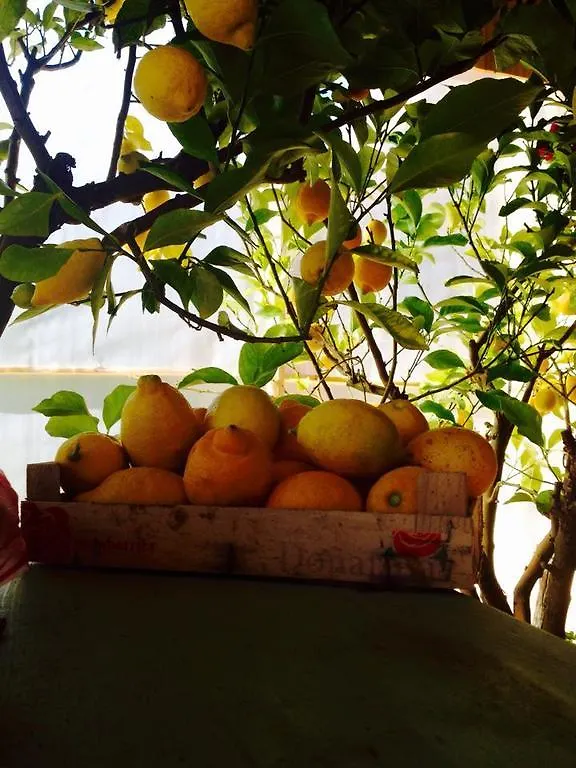 Bed & Breakfast Country Room Il Moro Rignano Sull Arno