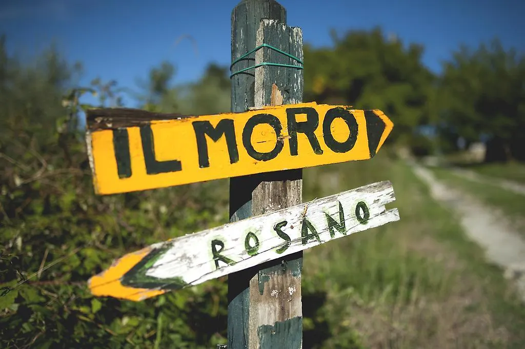 Country Room Il Moro Rignano Sull Arno Bed & Breakfast